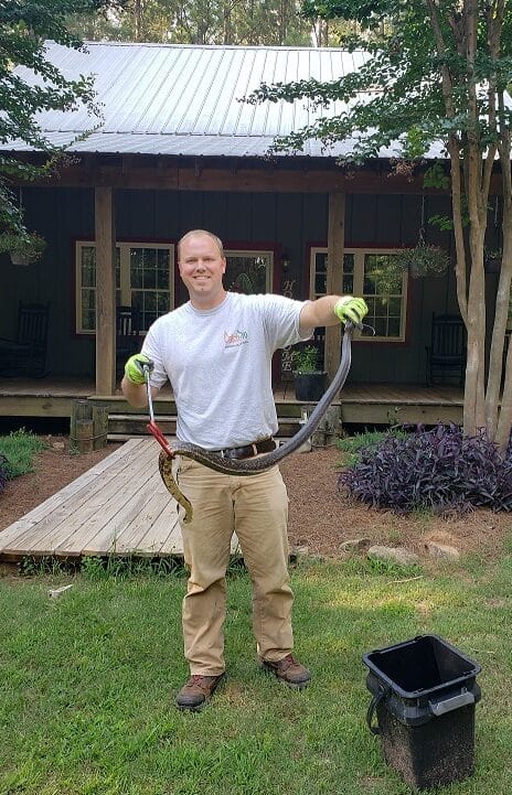 CatchPro biologist with captured snake